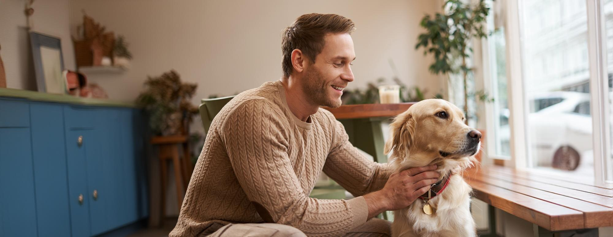 Pet care moment